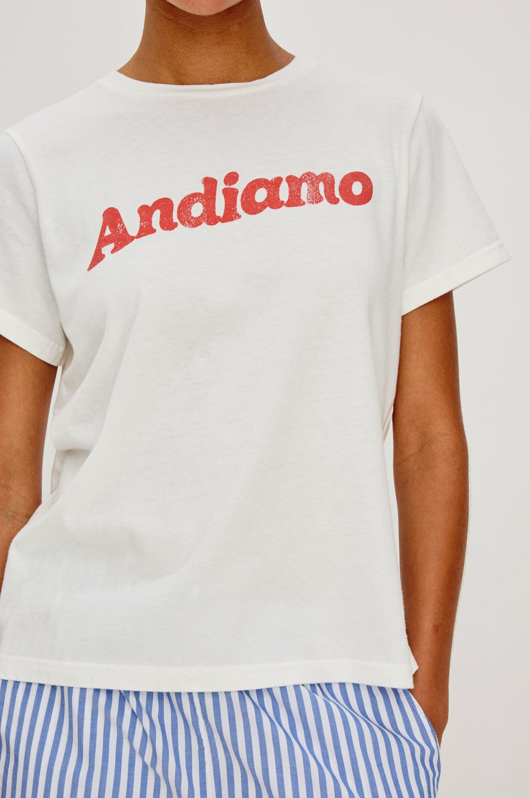 GIADZY X RAILS CLASSIC CREW NECK T-SHIRT - ANDIAMO| Rails US